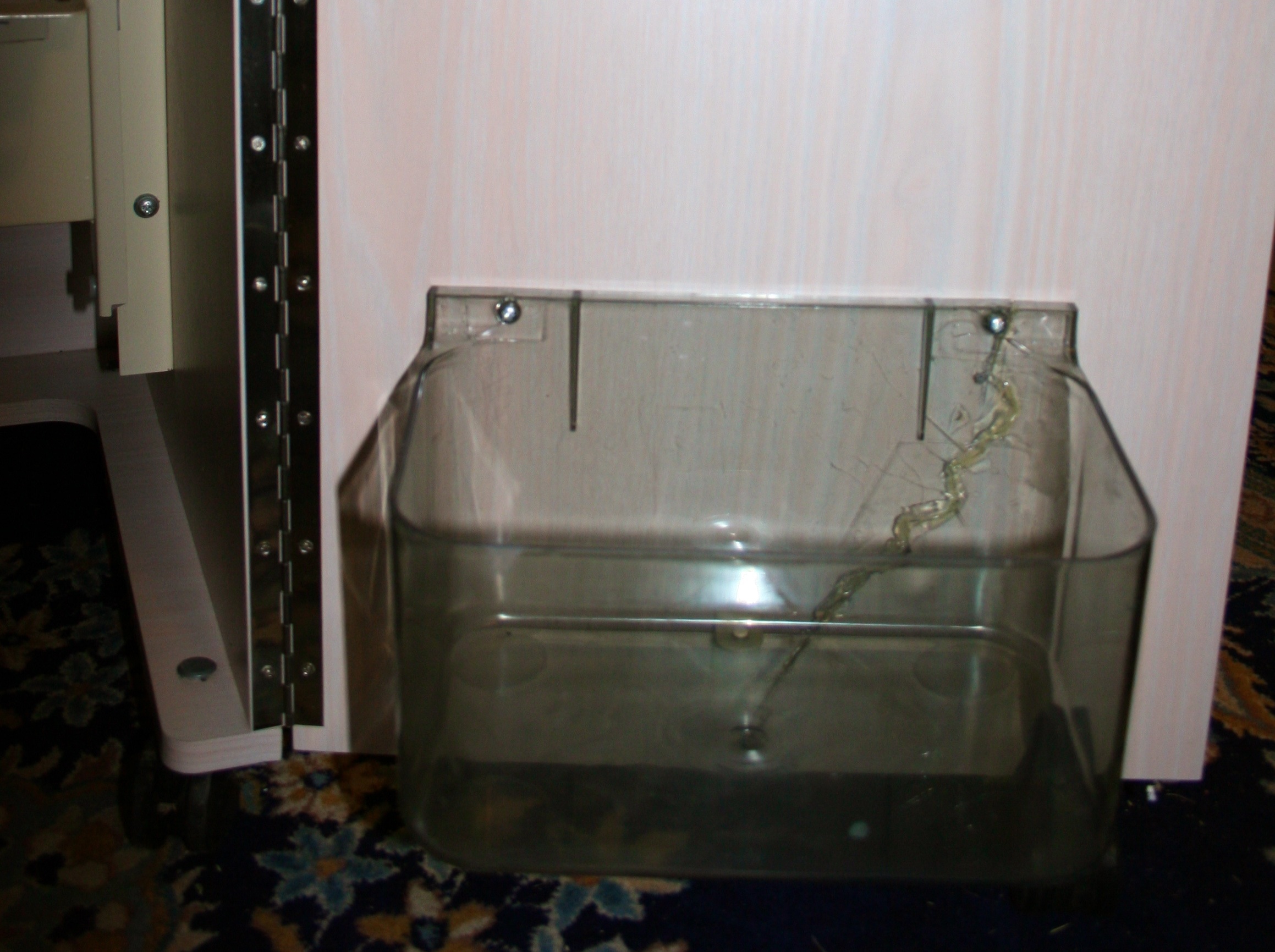 Koala Outback Jr02 Sewing Original Retail Value of up to